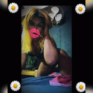 6aa10c7f403c6mYesrau1no1788939391.gif